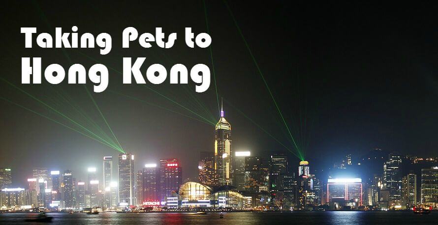 Taking Dogs & Cats to Hong Kong - PBS Pet Travel